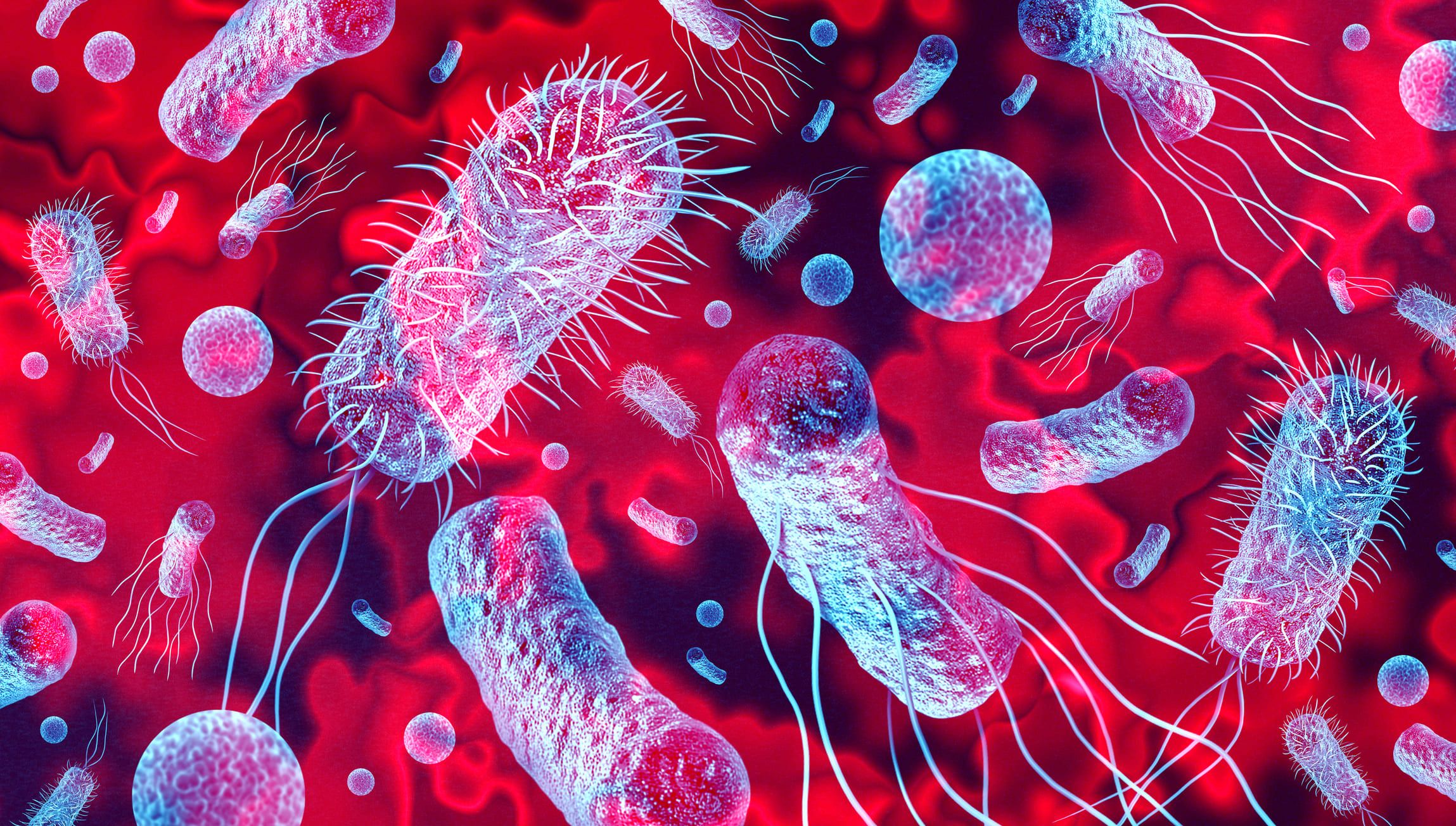 New Bacteria Have Been Discovered on a Chinese Space Station